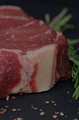 禽肉行业
